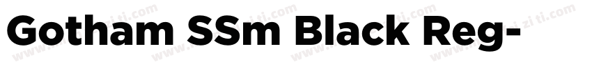 Gotham SSm Black Reg字体转换